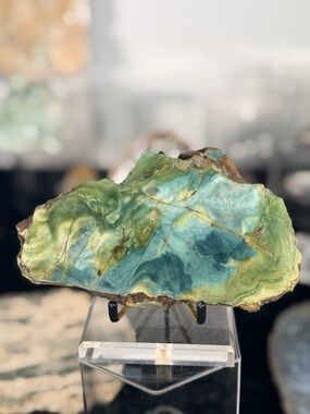 💎 Gary Green Bogwood Slab | Oregon | Earth & Ocean Tones Rare Petrified Bogwood